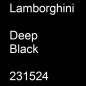 Preview: Lamborghini, Deep Black, 231524.